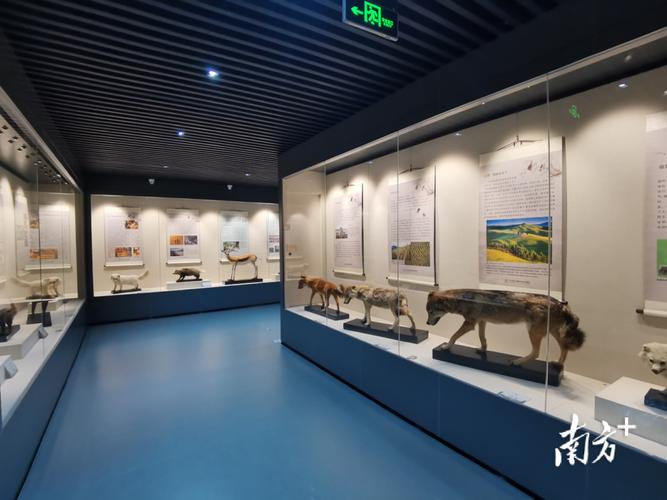 汕尾市博物馆承办生物多样性展览
